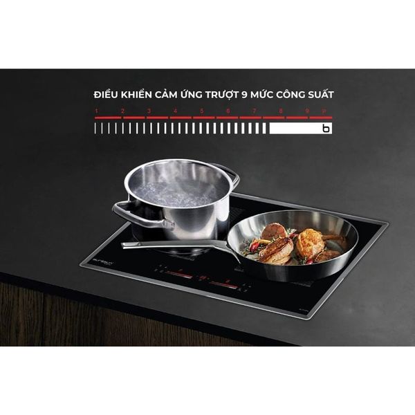 Bếp từ Eurosun EU-TE259Pro Inverter 2 vùng nấu