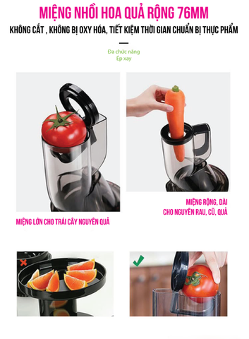 Máy Ép Chậm Canzy CZ-15YA