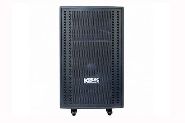 Loa kéo Acnos 15S1 đen 100W RMS 500W PMPO 2 Micro