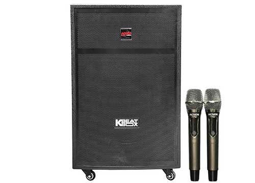Loa kéo Acnos 15S1 đen 100W RMS 500W PMPO 2 Micro