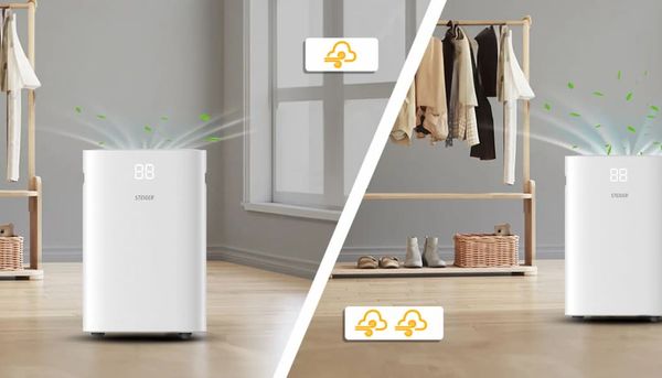 Máy hút ẩm Steiger STG-836DW 36L 80m2