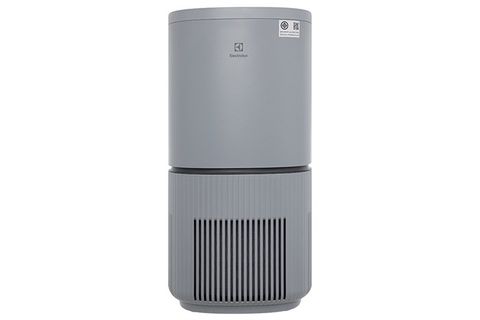 Máy lọc không khí Electrolux EP53-46UGA 52m2 40W