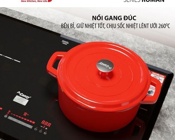 Nồi gang dành cho bếp từ Canzy CZ - Roman 020