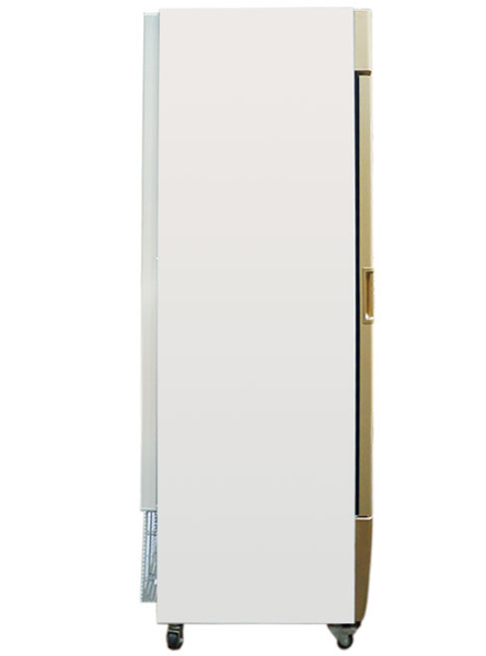 Tủ đông đứng Alaska IFG-350 350 lít