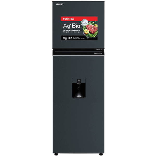 Tủ lạnh Toshiba Inverter 249 lít GR-RT325WE-PMV(06)-MG