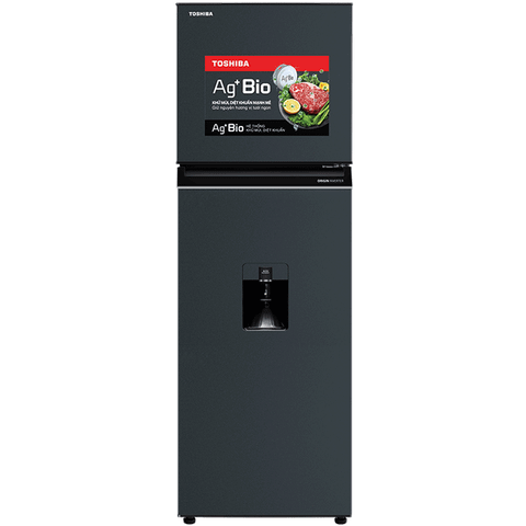 Tủ lạnh Toshiba Inverter 249 lít GR-RT325WE-PMV(06)-MG