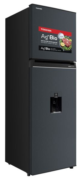 Tủ lạnh Toshiba Inverter 249 lít GR-RT325WE-PMV(06)-MG