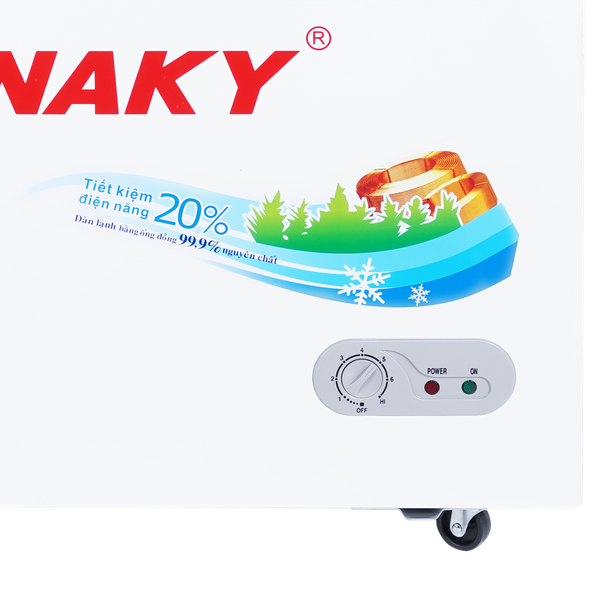 Tủ đông Sanaky VH-2599W2KD 250 lít
