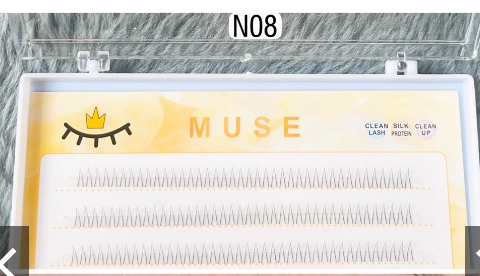 DCM_MUSE_Mi Dưới Sợi N08