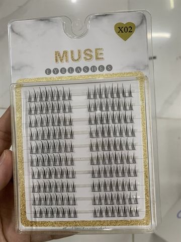 DCM_MUSE_Mi Rời 10 hàng X02