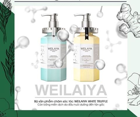 WEILAIYA_Bộ Dầu Gội Xả Phục Hồi Đa Tầng Nấm Truffle 450ml