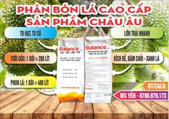 (Lớn trái mít) Bộ đôi lớn trái mít, trái to tròn đều, hạn chế méo trái, nở gai hết cỡ, múi mít to, nặng ký