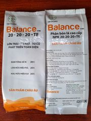 (Lớn trái mít) Bộ đôi lớn trái mít, trái to tròn đều, hạn chế méo trái, nở gai hết cỡ, múi mít to, nặng ký