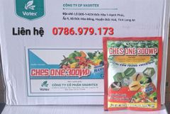 ( 100G) Thuốc trừ sâu CHESONE 300WP: đặc trị bọ xít muỗi hại điều, bọ trĩ, phấn trắng, rầy, rệp sáp, và rệp muội, rầy xanh