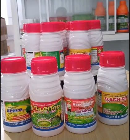 Thuốc trừ cỏ lồng vực, cỏ đuôi phụng, cỏ gạo - sạch cỏ 345, beeco 345, tia chớp 345, hai lúa cỏ 345