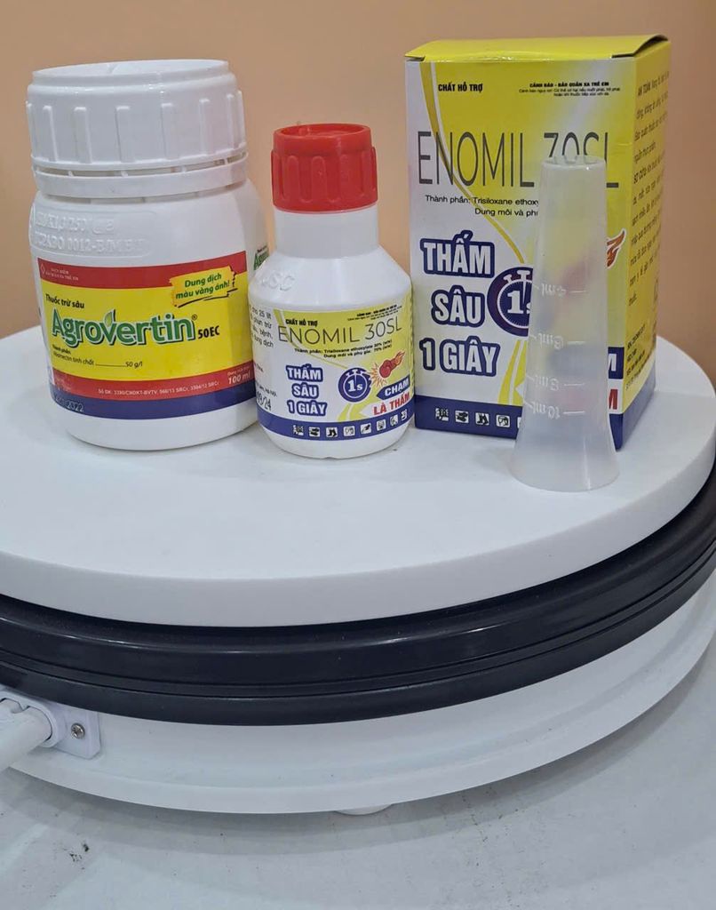 Phòng trừ nhện đỏ gây hại đu đủ - không nóng - phun được khi đu đủ có bông, có trái