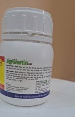 Phòng trừ nhện đỏ gây hại đu đủ - không nóng - phun được khi đu đủ có bông, có trái