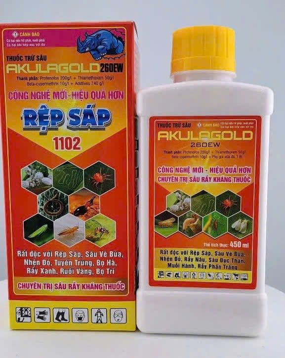 (Rệp sáp cây đào) Phòng trừ rệp sáp gây hại cây đào, không nóng, mát cây, mát bông