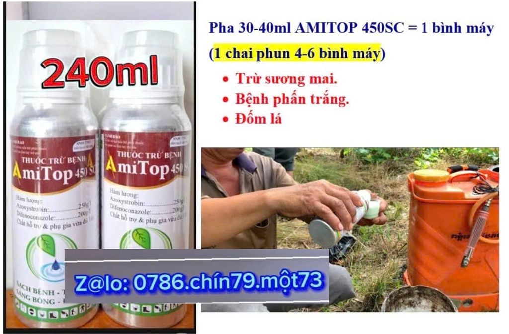 (Dưa leo/ dưa chuột) Combo trừ rầy phấn trắng dưa leo, rầy xanh và bọ trị - trừ bệnh sương mai, thán thư, bệnh phấn trắng dưa leo và đốm lá