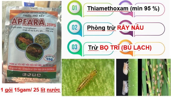 Các loại thuốc trừ bọ trĩ (bù lạch) gây hại lúa hiệu quả và nhanh chóng