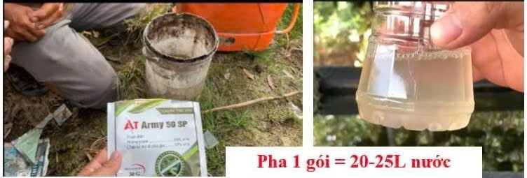 (Đu đủ) AT ARMY 50SP trừ rệp sáp, rầy mềm, bọ trĩ gây hại đu đủ, không nóng, phun được cả cây con