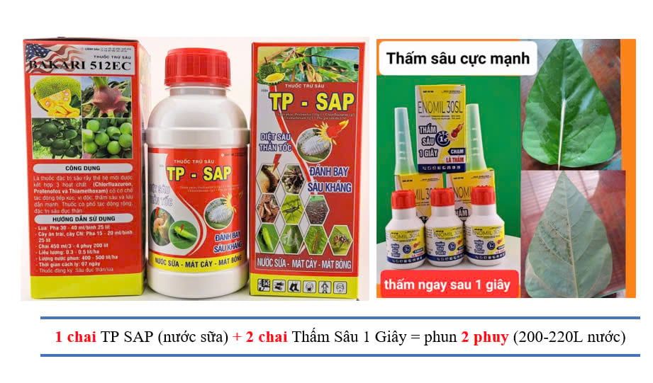 (chuyên rệp sáp) phòng trừ rệp sáp trên mít, sầu riêng, cà phê, rệp sáp mãng cầu, rệp sáp xoài, bưởi