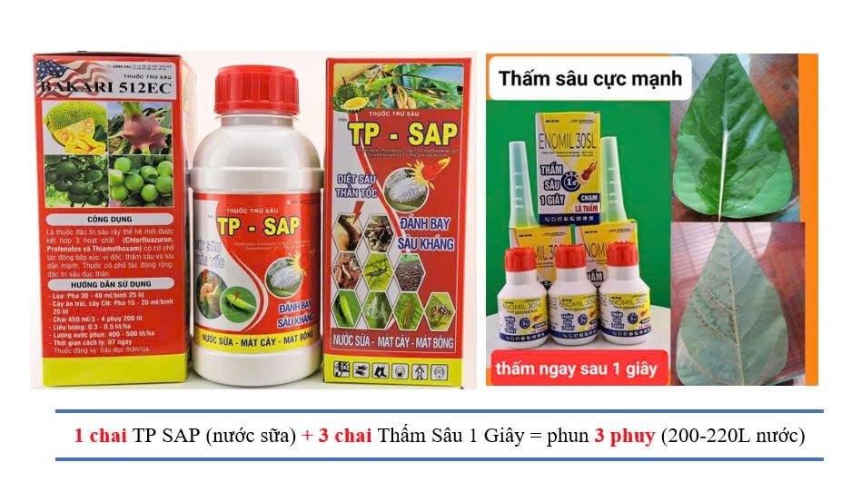 Thuốc trừ sâu TP SAP,Bakari 512EC 400ml: trừ rệp sáp, mọt đục cành, sâu đục thân, bọ trĩ, sùng hà khoai lang/ bọ hà, sâu vẽ bùa