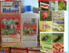 Bakari 512EC 450ml, phòng trừ rệp sáp, sâu vẽ bùa, nhện đỏ, sùng hà, bọ hà, bọ trĩ, sạch ruồi