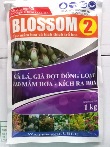 (1 kg) Phân bón lá Blossom 2 - Tạo mầm hoa sầu riêng, kích trổ hoa, làm già lá sầu riêng nhanh và đồng loạt, Ức chế đọt mạnh