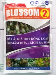 (1 kg) Phân bón lá Blossom 2 - Tạo mầm hoa sầu riêng, kích trổ hoa, làm già lá sầu riêng nhanh và đồng loạt, Ức chế đọt mạnh