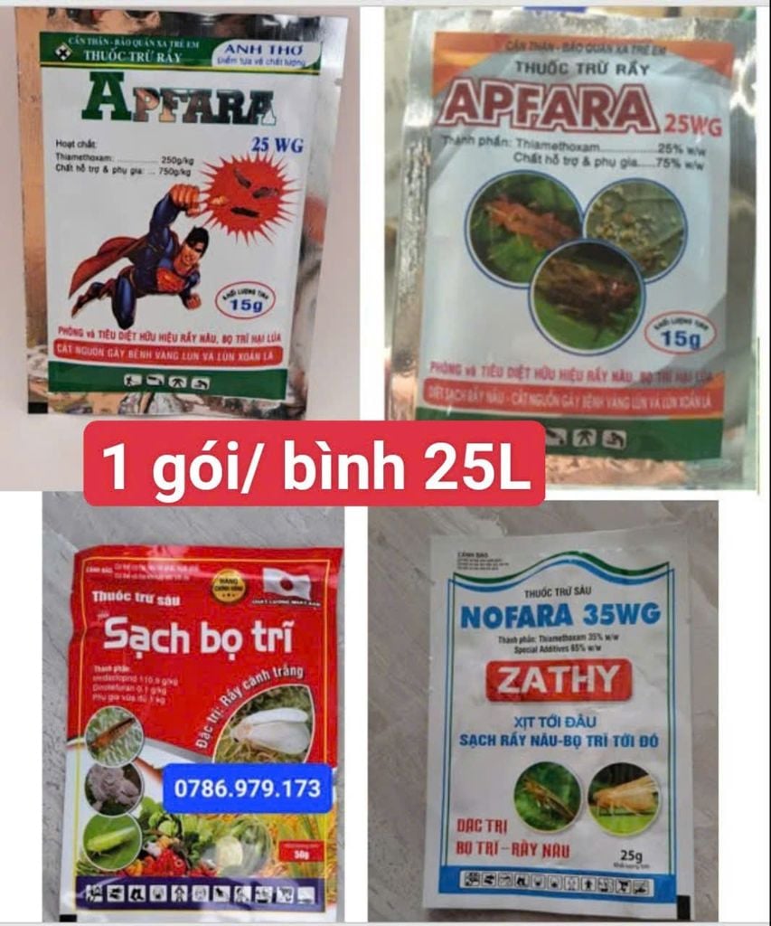 Các loại thuốc trừ bọ trĩ (bù lạch) gây hại lúa hiệu quả và nhanh chóng