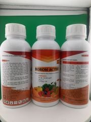 (500ml) Phân bón lá BORON ACTIVE: tăng tỷ lệ đậu trái dai cuống chống rụng trái nonchống rụng hoa, tăng tỷ lệ đậu trái