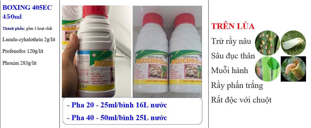 Thuốc trừ sâu BOXING 405EC hiệu đục thân, muỗi hành, rầy nâu, rầy phấn trắng gây hại lúa