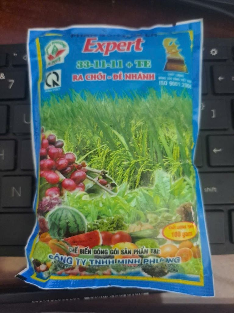 Siêu bung đọt, kích mập đọt, đâm chồi mạnh cho rau màu, bầu bí dưa - bung đọt sầu riêng, mít