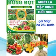 (50gam) Phân bón lá 33-11-11: siêu bung đọt, kích mập đọt, đâm chồi mạnh, phóng đọt mạnh