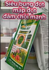 Siêu bung đọt, kích mập đọt, đâm chồi mạnh cho rau màu, bầu bí dưa - bung đọt sầu riêng, mít