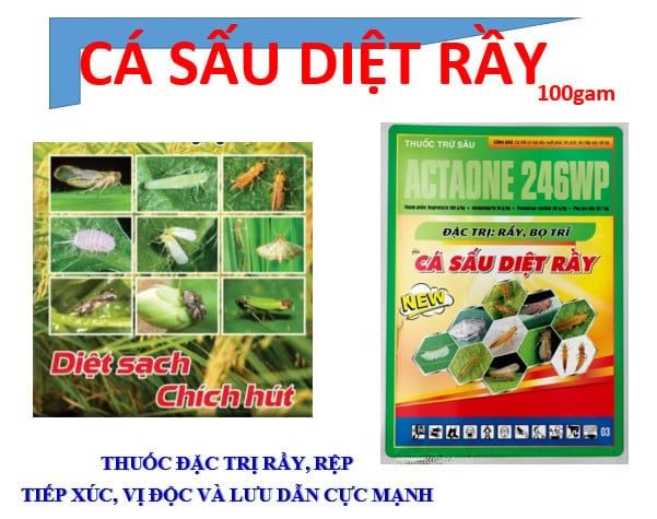 Cá sấu diệt rầy 100g (Actaone 246WP) - trừ rầy nâu, rầy xanh, rầy phấn trắng, rầy mềm, rầy bông, rệp sáp, bọ trĩ, bọ nhảy, bọ rùa.