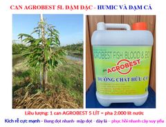 can agrobest 5 lít - Phân Humic và đạm cá: phục hồi vườn sau thu hoạch, cây tơ mới trồng, kích ra rễ mạnh, bung đọt nhanh, mập đọt, dày lá, xanh lá