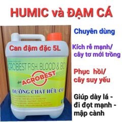 can agrobest 5 lít - Phân Humic và đạm cá: phục hồi vườn sau thu hoạch, cây tơ mới trồng, kích ra rễ mạnh, bung đọt nhanh, mập đọt, dày lá, xanh lá