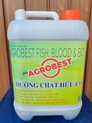 can agrobest 5 lít - Phân Humic và đạm cá: phục hồi vườn sau thu hoạch, cây tơ mới trồng, kích ra rễ mạnh, bung đọt nhanh, mập đọt, dày lá, xanh lá