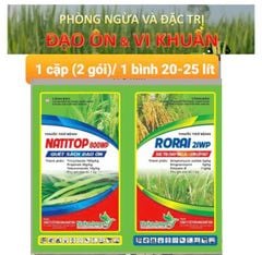 (20gr/gói) Cặp đôi trừ bệnh đạo ôn vi khuẩn Naka Japan, Giúp Cây Xanh Mướt - Sạch Bệnh Đạo Ôn - Cháy Bìa Lá - Lem Lép Hạt lúa