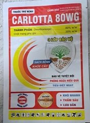 Bộ đôi đặc trị thán thư và rửa bông xoài, rửa trái xoài - rửa mắt cua, bông sầu riêng, rửa trái sầu riêng, rửa nước mưa, rửa sương muối do mưa