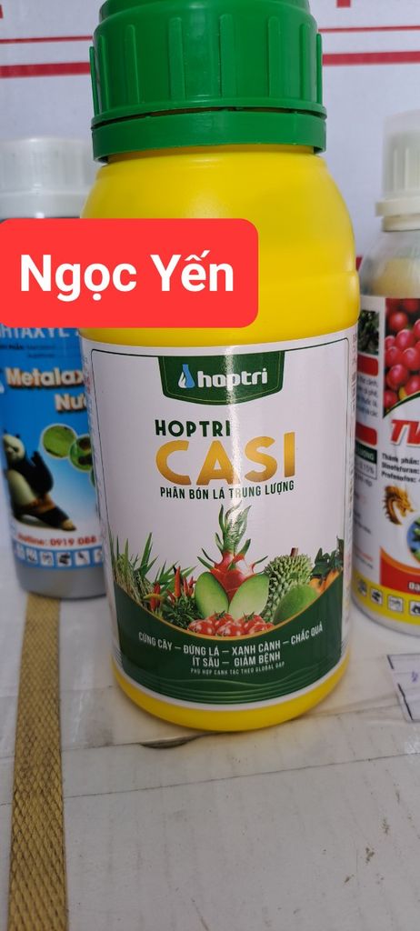 ( 500ml) Phân bón lá trung lượng giúp cứng cây, casi hợp trí 500ml: giúp cứng cây, chống đổ ngã, đứng lá, xanh lá