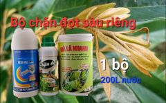 (CHUYÊN SẦU RIÊNG) Chặn đọt sầu riêng cực mạnh, già lá nhanh, ức chế đọt non, không gây cháy lá