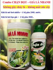 Combo CHẶN ĐỌT, GIÀ LÁ NHANH cực mạnh không suy cây, chuyển hóa sinh trưởng sang sinh sản, tạo mầm hoa, ức chế đọt non, lá chuyển lụa, phân hóa mầm hoa
