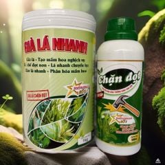 Combo CHẶN ĐỌT, GIÀ LÁ NHANH cực mạnh không suy cây, chuyển hóa sinh trưởng sang sinh sản, tạo mầm hoa, ức chế đọt non, lá chuyển lụa, phân hóa mầm hoa