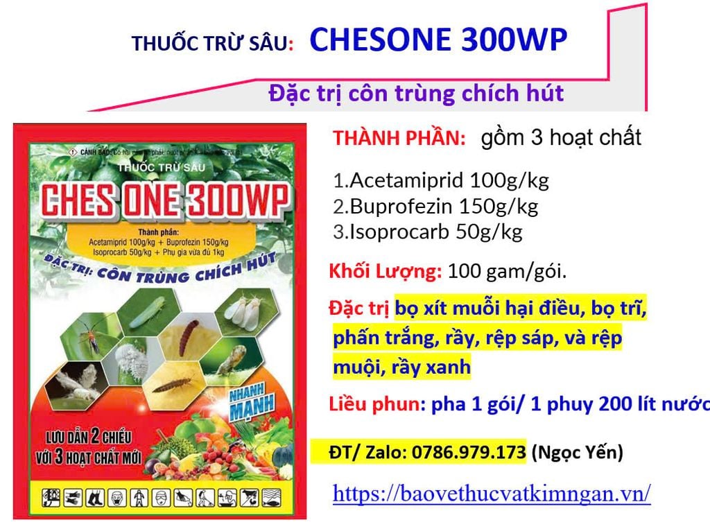 ( 100G) Thuốc trừ sâu CHESONE 300WP: đặc trị bọ xít muỗi hại điều, bọ trĩ, phấn trắng, rầy, rệp sáp, và rệp muội, rầy xanh
