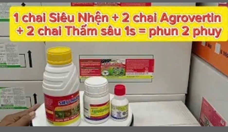 Giải pháp trị nhện đỏ đã kháng thuốc hại sầu riêng, mát cây, mát bông, hiệu lực kéo dài