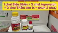 Giải pháp trị nhện đỏ đã kháng thuốc hại sầu riêng, mát cây, mát bông, hiệu lực kéo dài