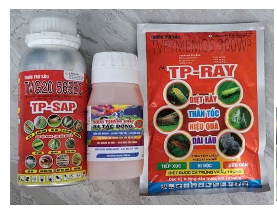 (Cây thanh long) Phòng trừ bọ trĩ , bọ xít, rầy mềm và rệp sáp, diệt kiến, bọ cánh cứng gây hại thanh long